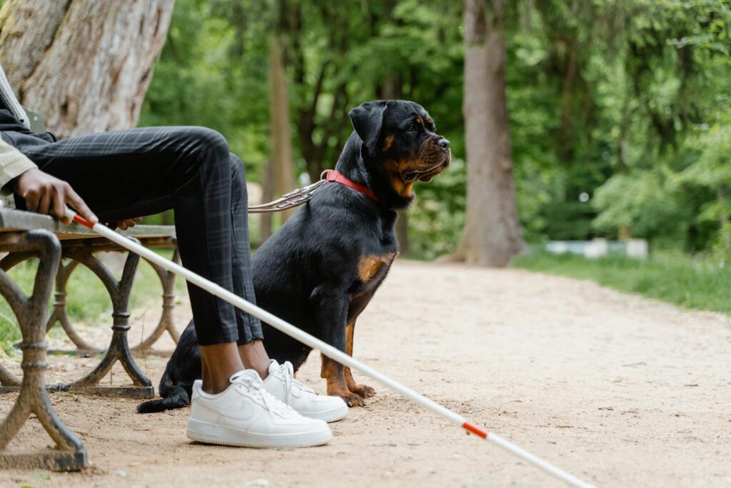 Blind individual sitting on a bench with a guide Rottweiler dog in a lush green park.