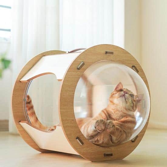 Acrylic Bubble Bed