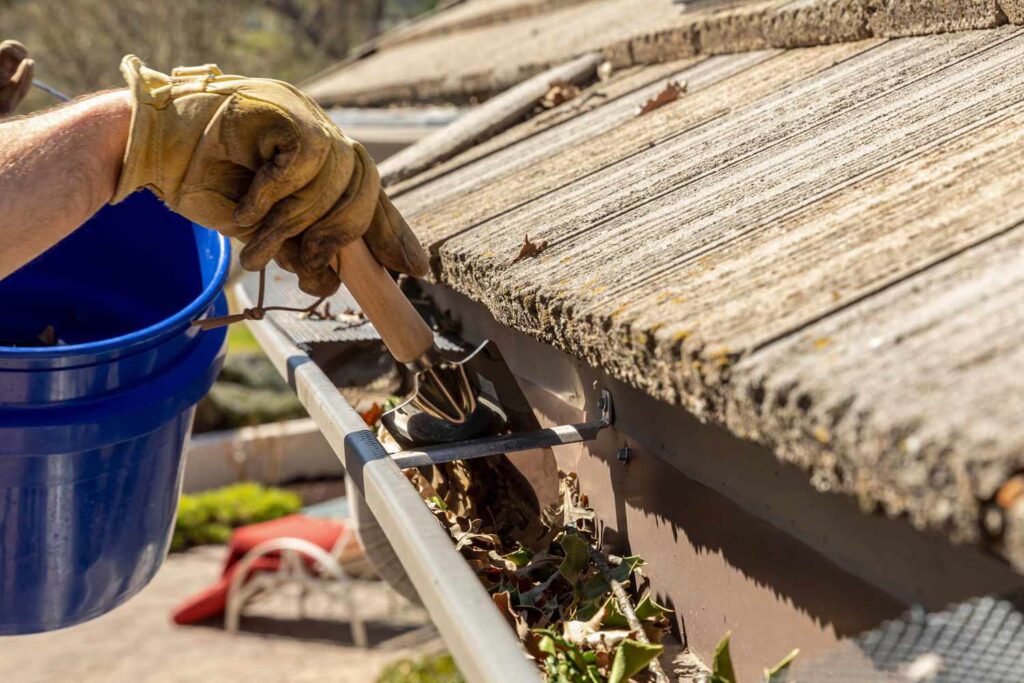 Clean Gutters