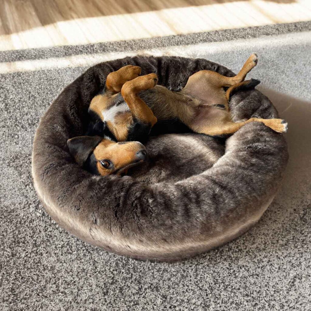 Faux Fur Donut Bed