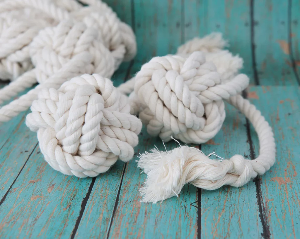 Fo