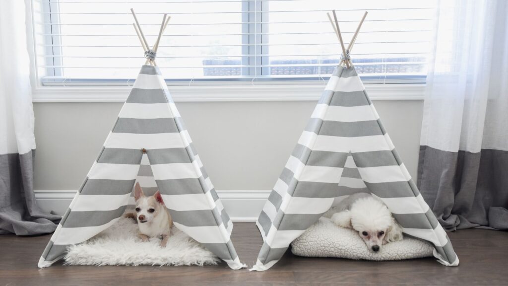 Foldable Teepee Bed