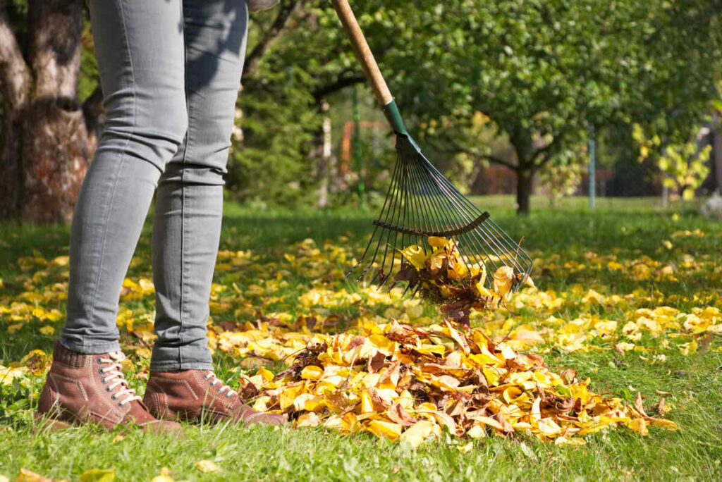 Keep Outdoor Areas Clean