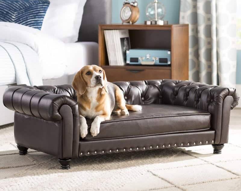 Make Your Home and Your Pets Happy With These Stylish Beds