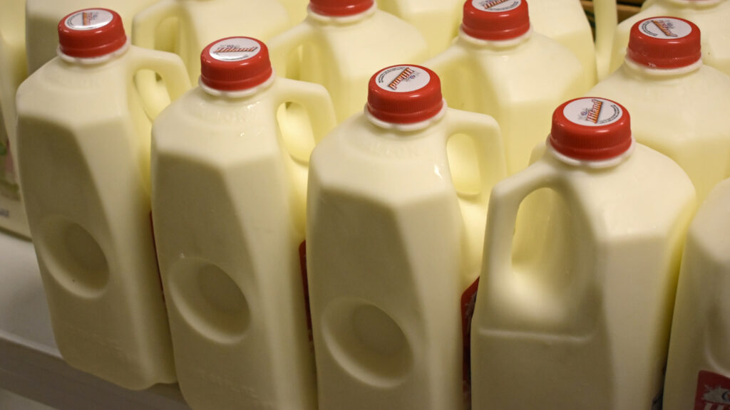 Milk Jugs