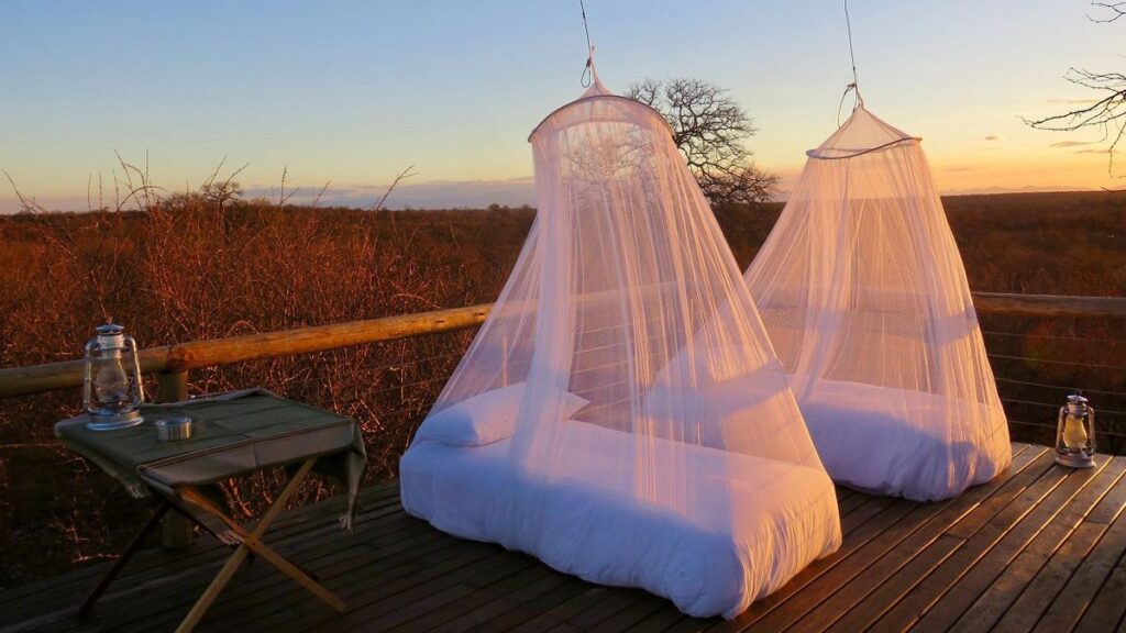 Mosquito Nets