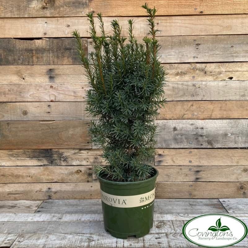 Phpthumb Generated Thumbnail