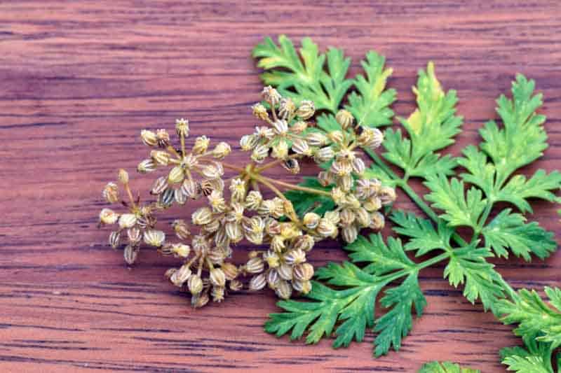 Shutterstock 2355591473