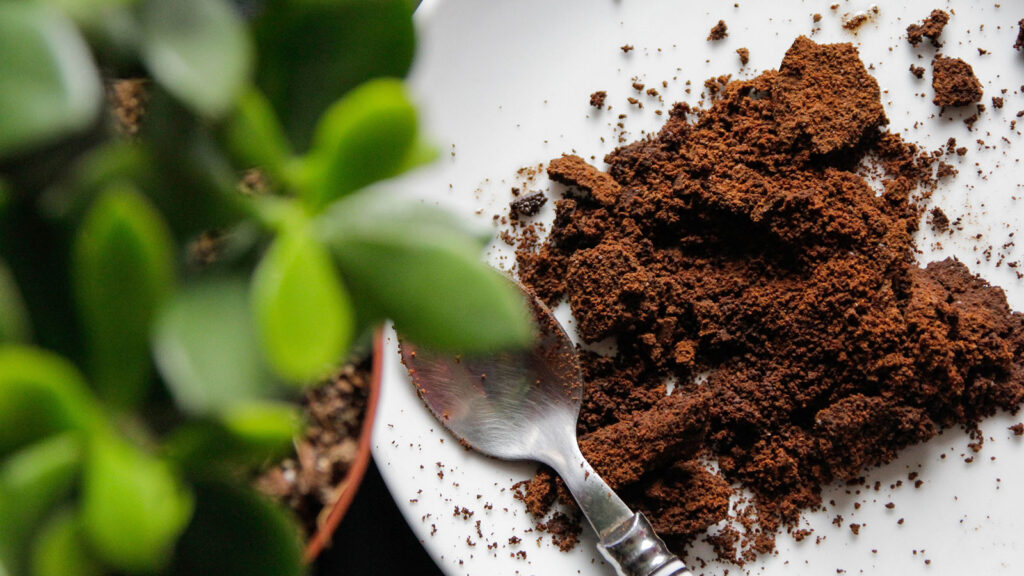 Use Coffee Grounds
