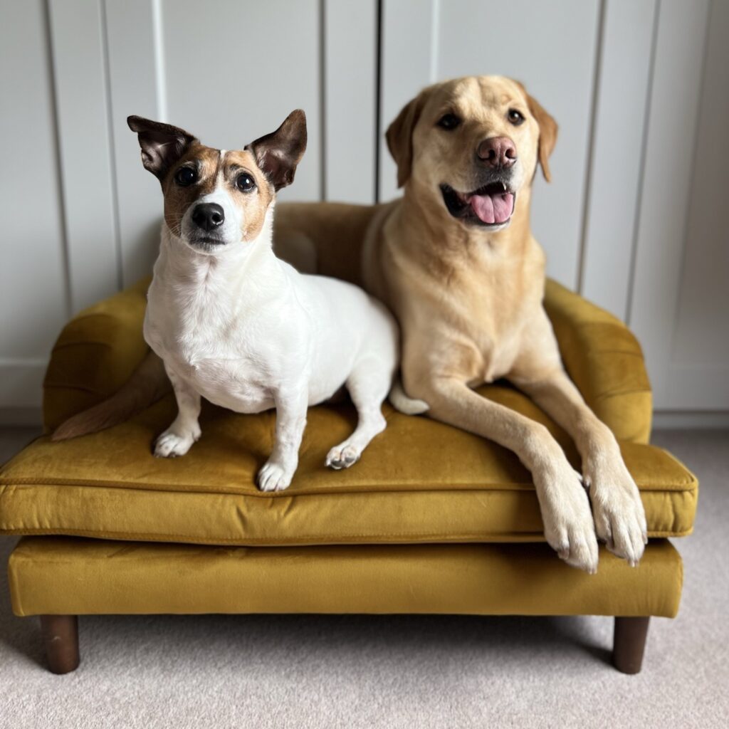 Velvet Chaise Lounge