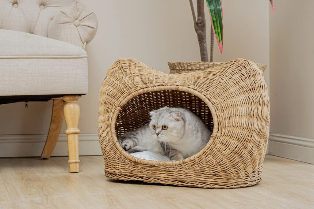 Wicker Basket Bed