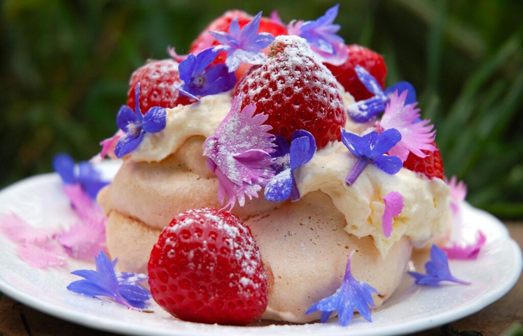 2da962e0e3b108370e2d1015946b0373