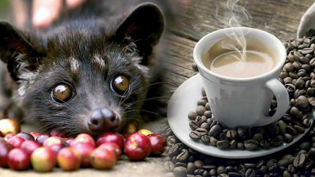 Animalul Care Face Cafea 2