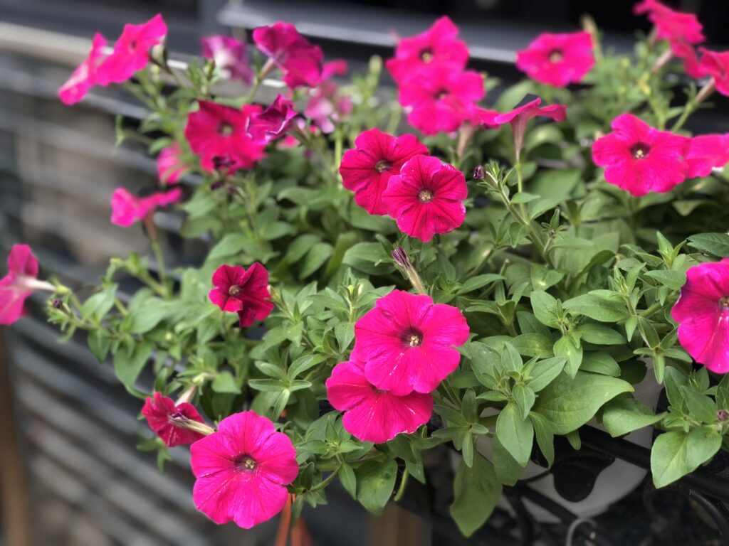 B0b44a7cd07286bdf542f58164077db5