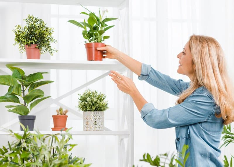 Bring The Outdoors In