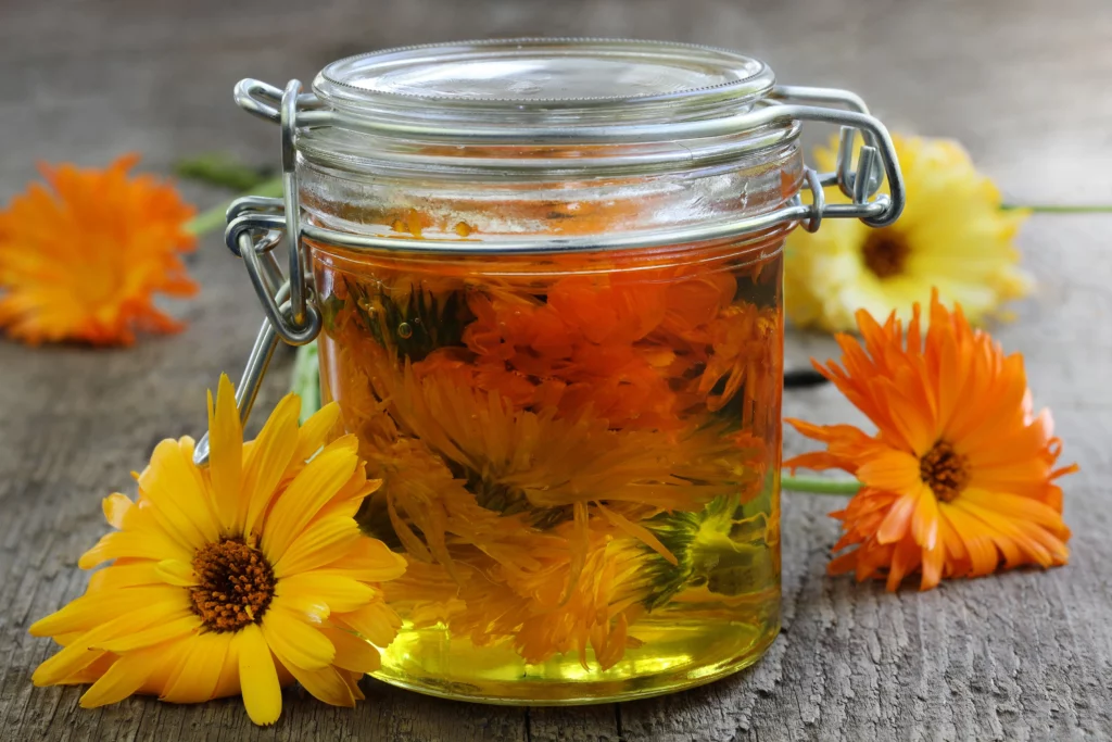 Calendula Oil Jar