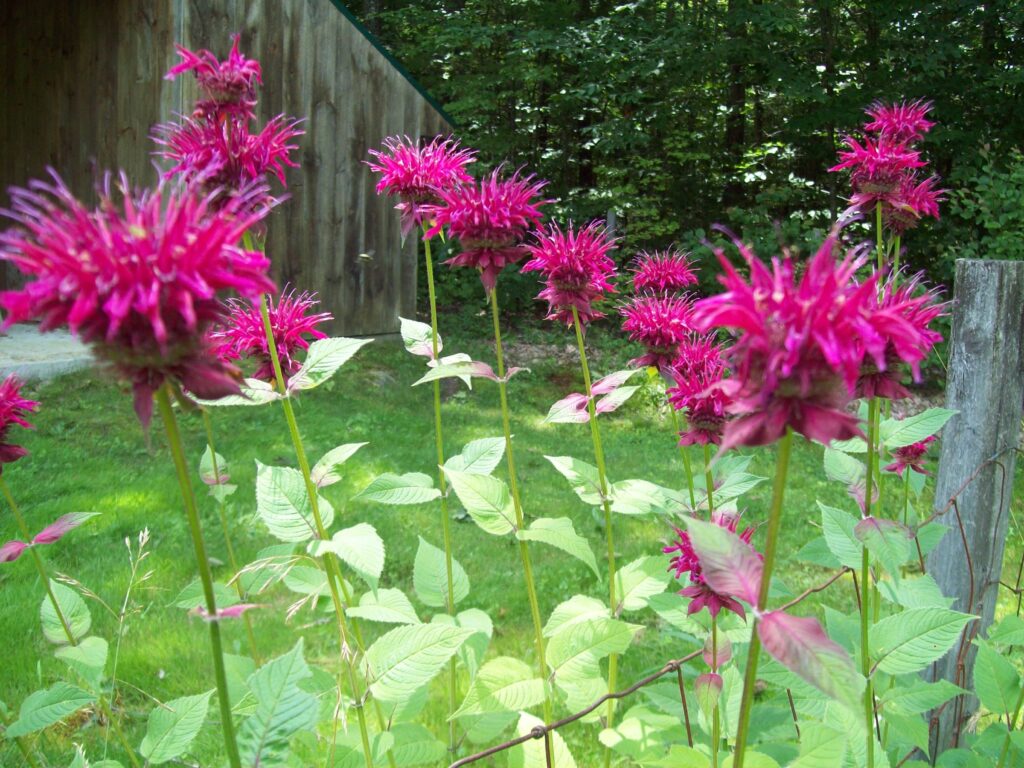 D4dfd88d617fb8933057ed8d62d0af92