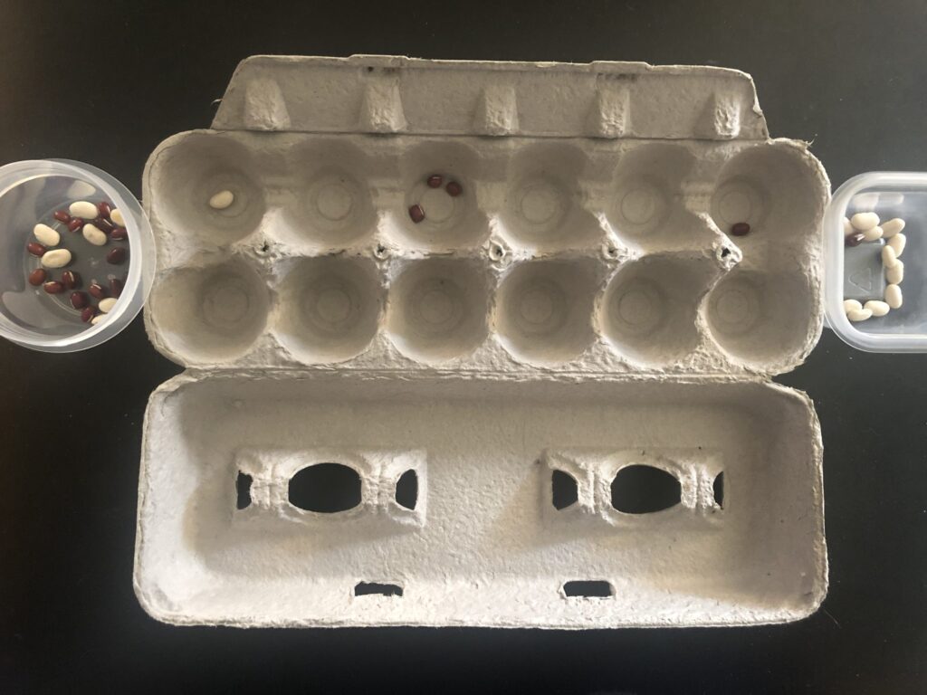 Egg Carton Mancala
