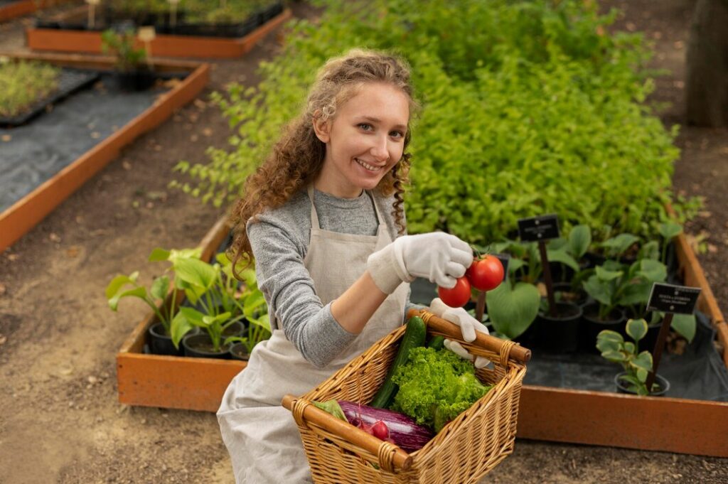Gardening And Growing Your Own Food