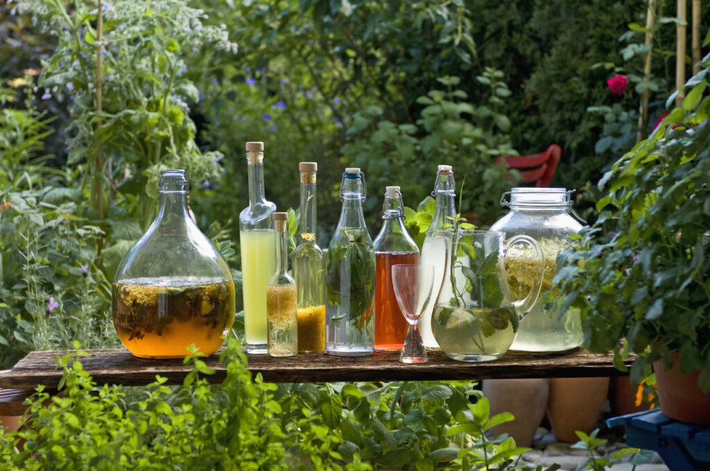 Garnish And Herb Garden