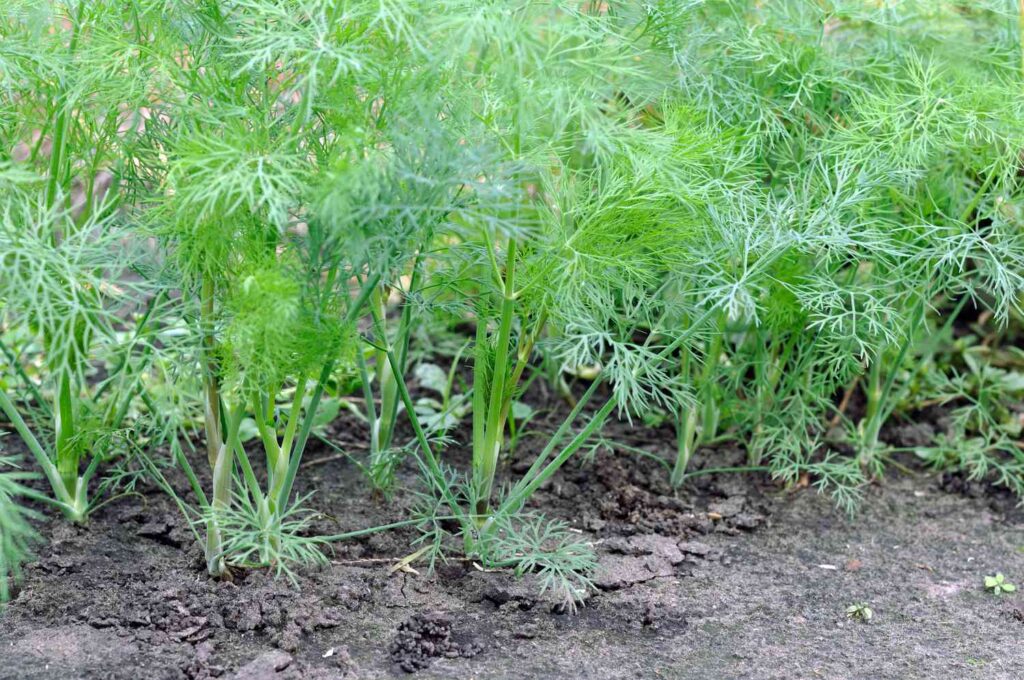 Gettyimages 469794196 3960d8447dbc49aca070e6bbab6e5be4