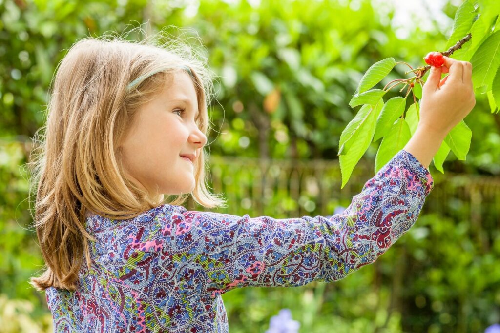 Girl Cherry Tree With Summer Sun Background 268835 1558