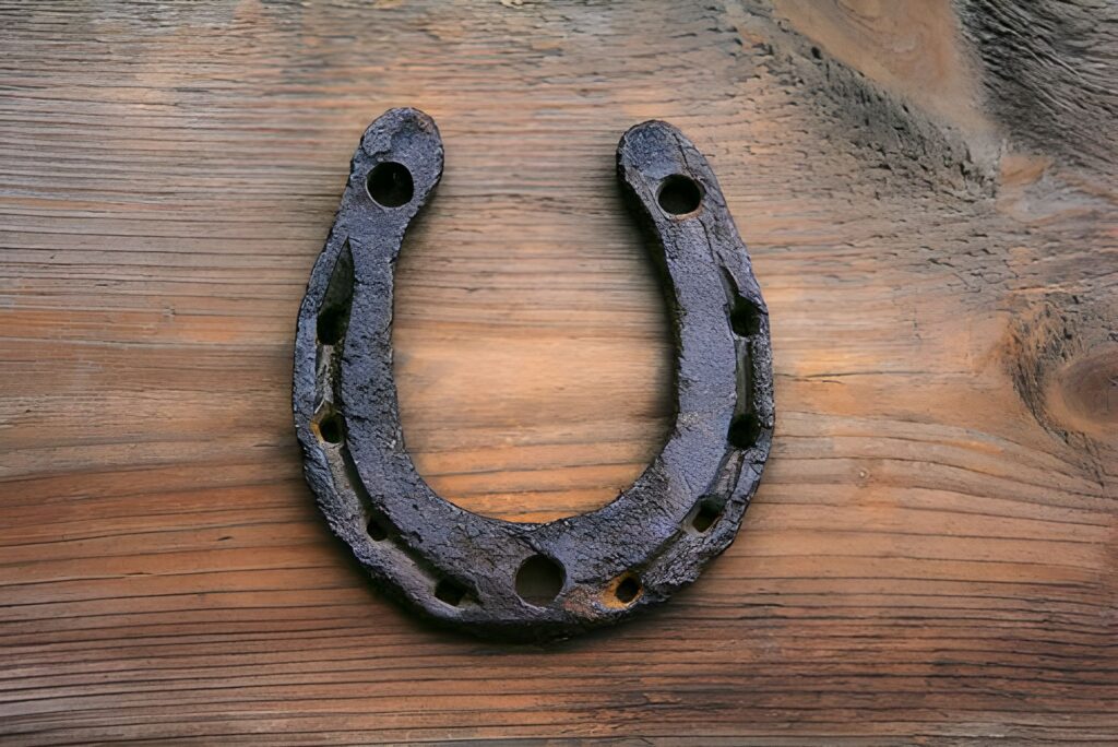 Horseshoe