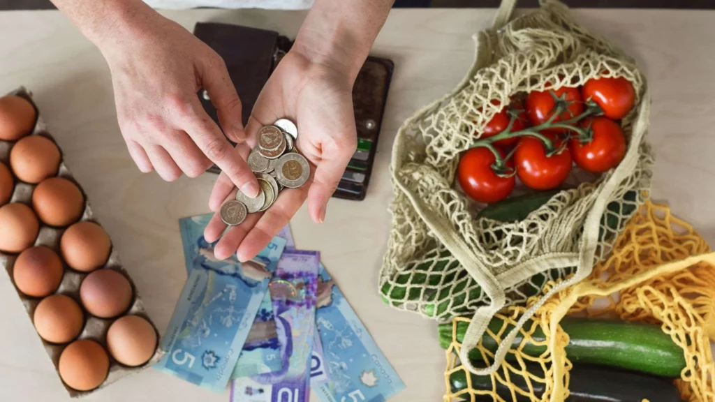Meal Plan To Reduce Grocery Costs