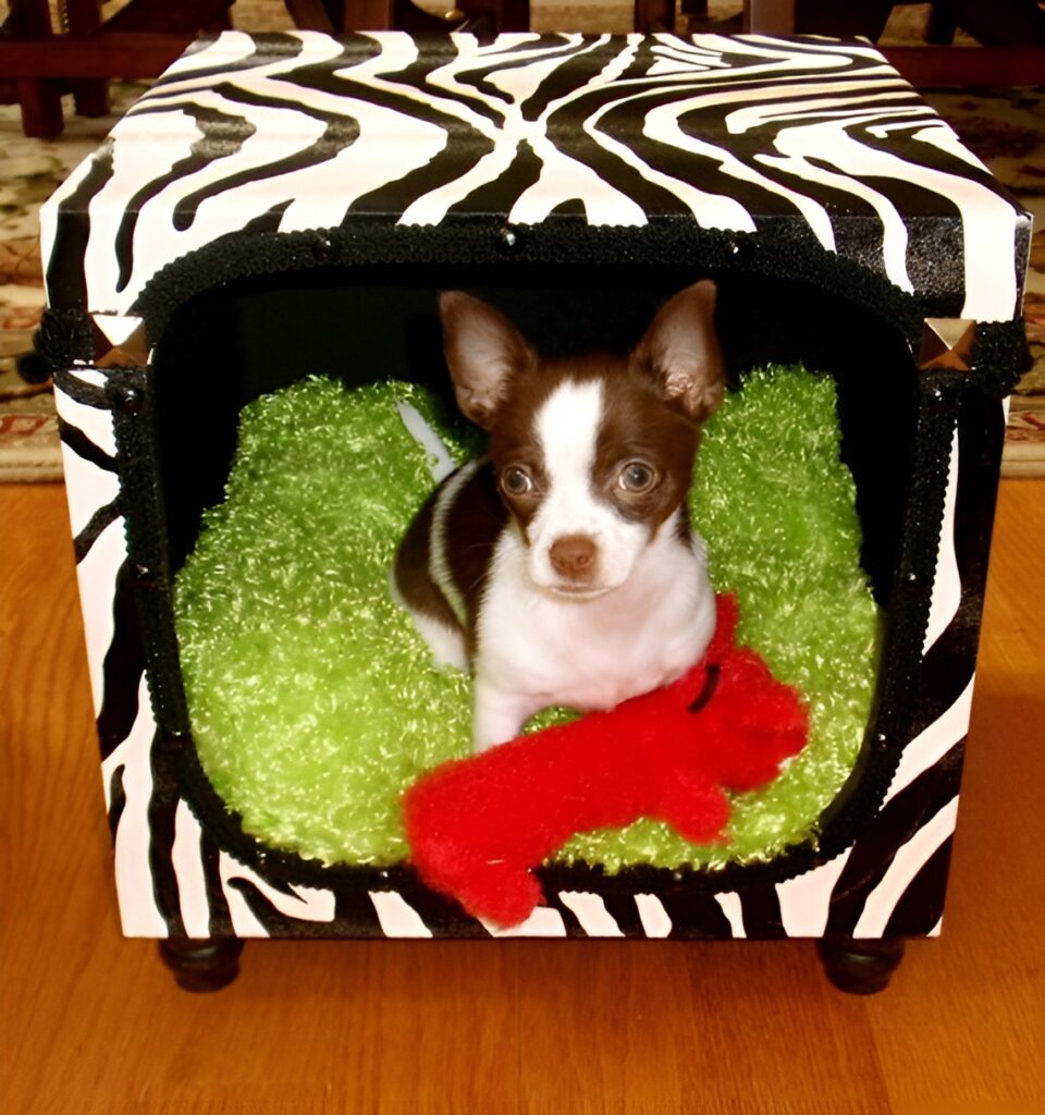 Microwave Shell Pet Bed
