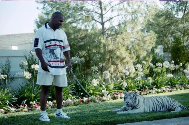 Mike Tyson Poses White Tiger 593953738