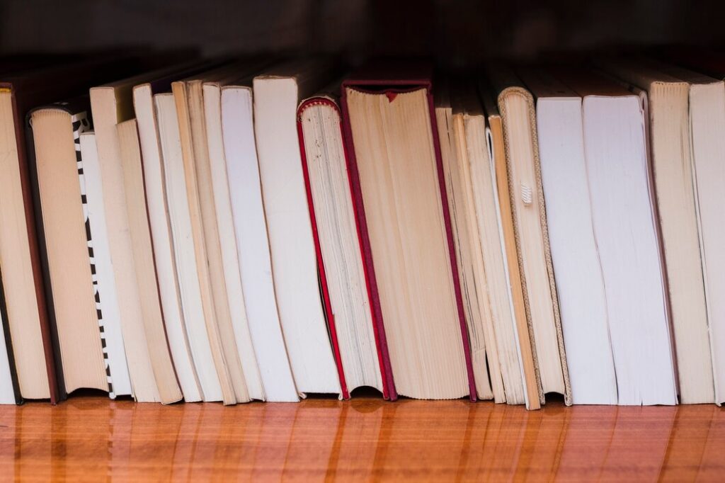 Overcrowded Bookshelves