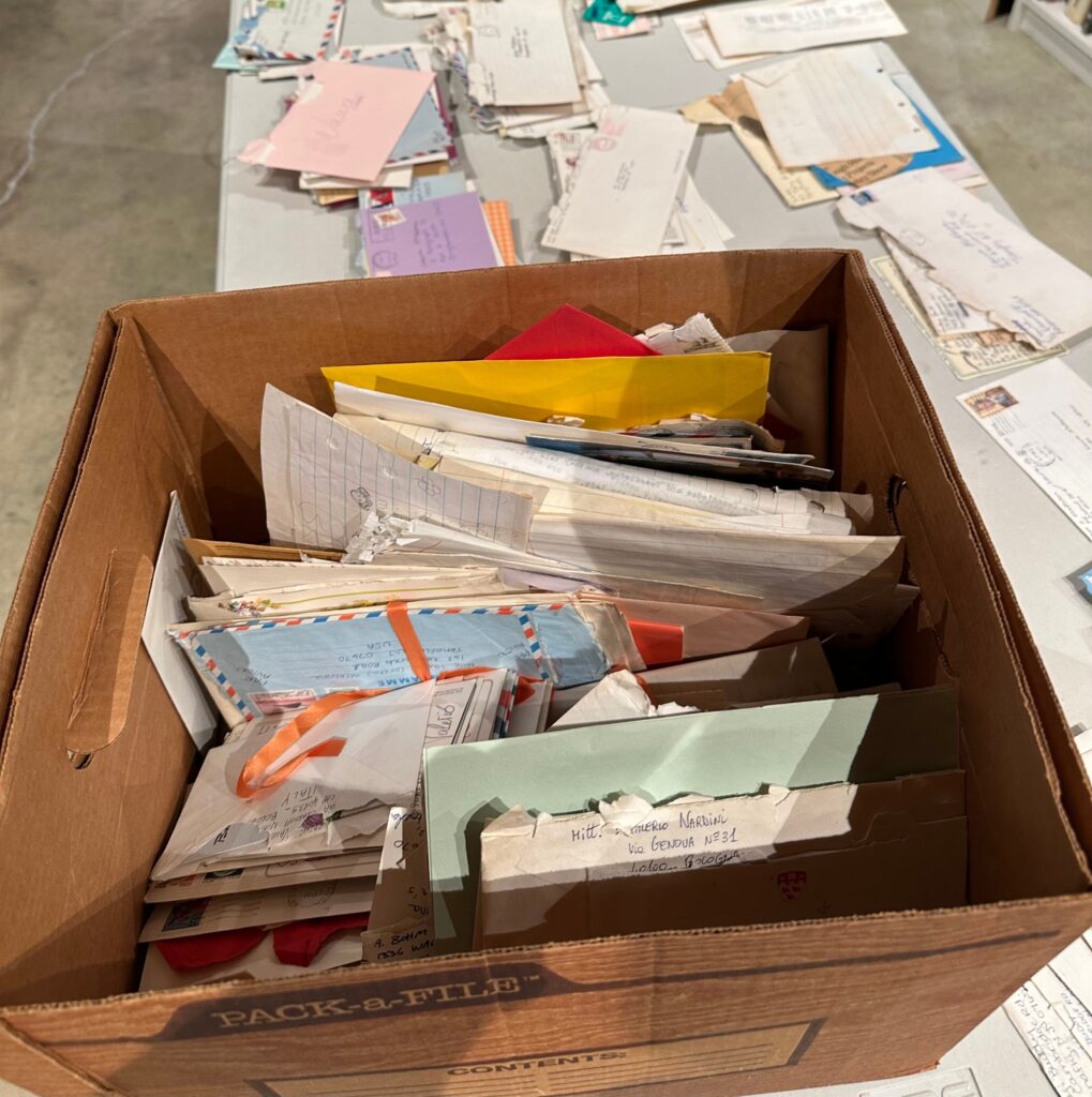 Piles Of Unopened Mail