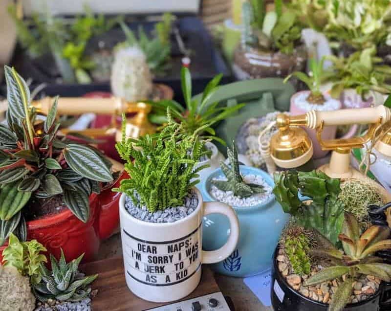 Crafting Unique Planters from Upcycled Items