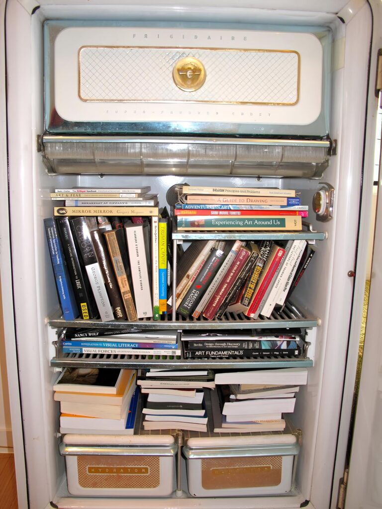 Refrigerator Shelf Bookshelf