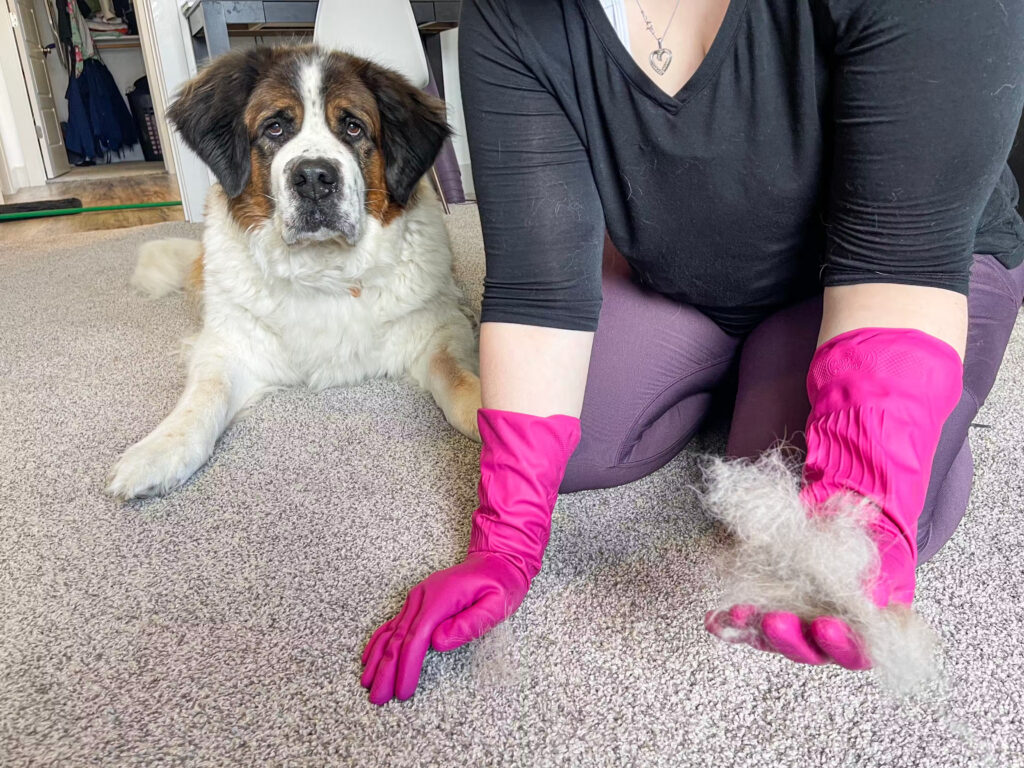Rubber Gloves To Remove Pet Hair From Furniture