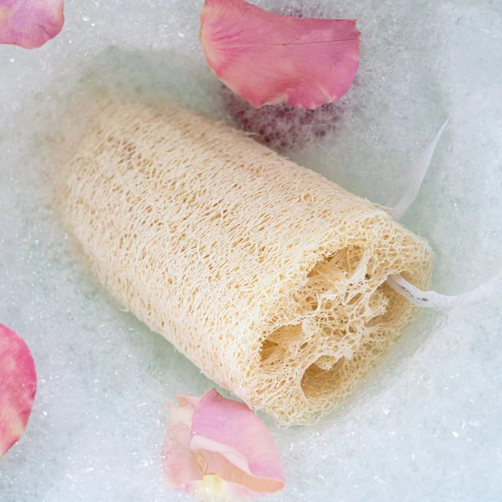 Shower Loofahs