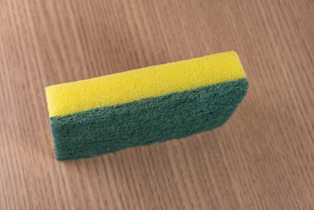 Sponges