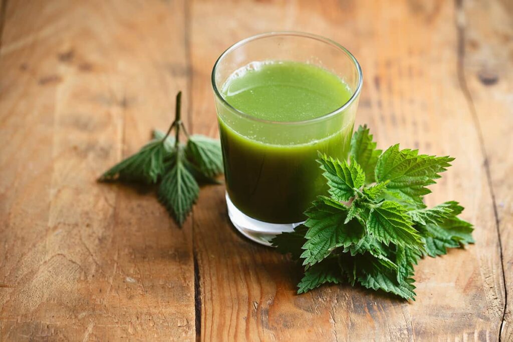 Stinging Nettle Juice