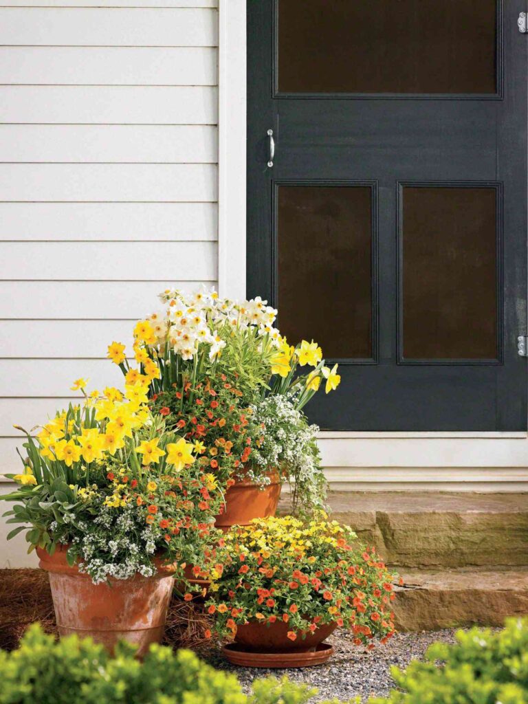 Terracotta Or Clay Pots