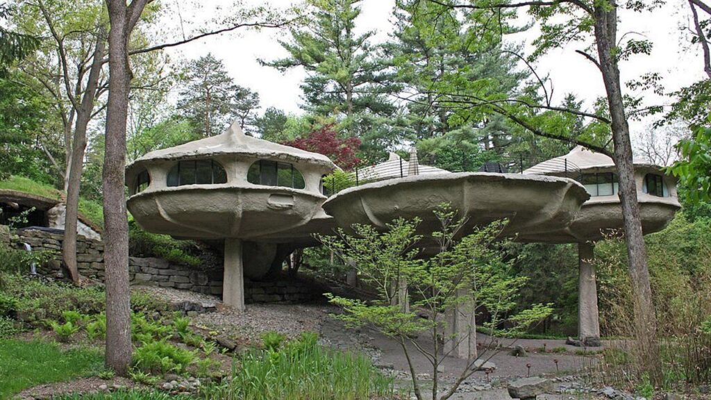 The Mushroom House
