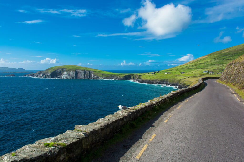 The Wild Atlantic Way (ireland)