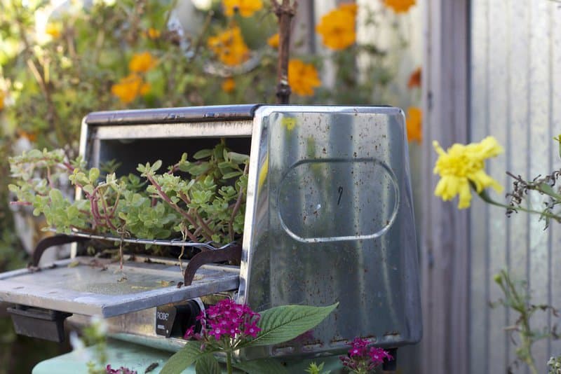Toaster Planter