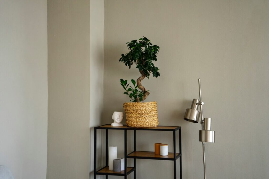 Utilize Unused Corners
