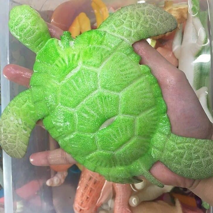 Water Growing Toys