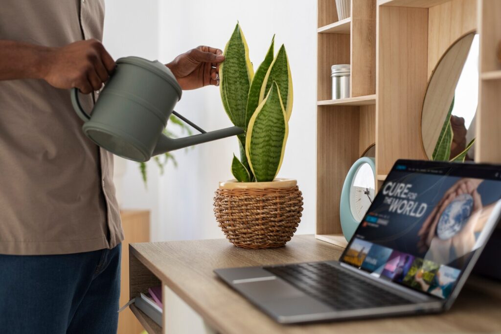 Watering Plants On A Schedule