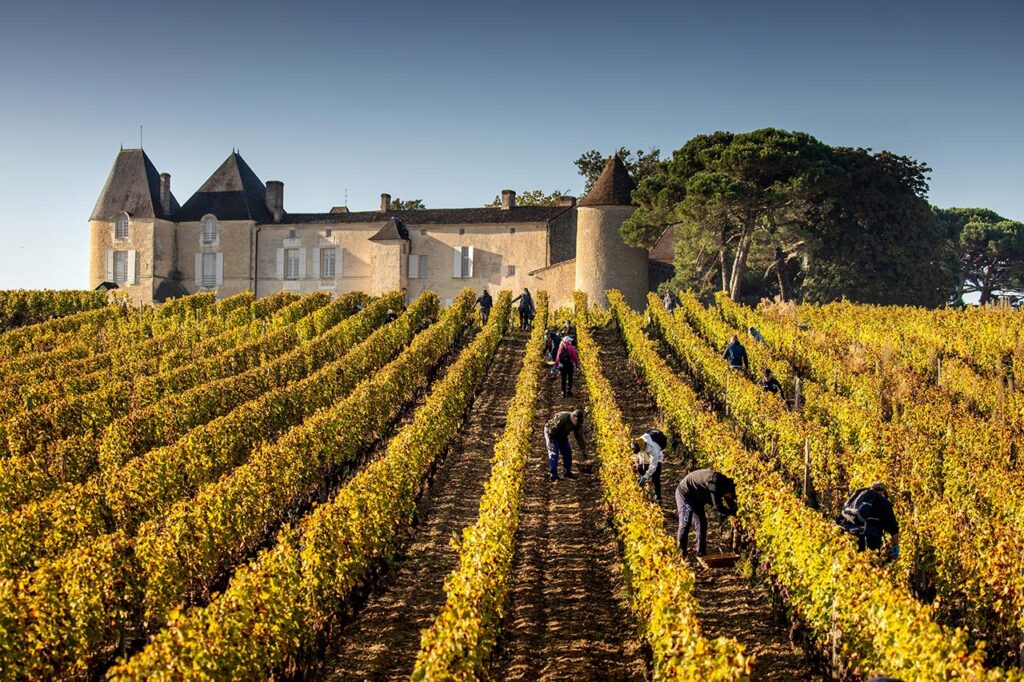Yquem Property
