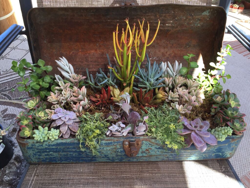 8ca933c5cc6e0076d596ca39476c3f66