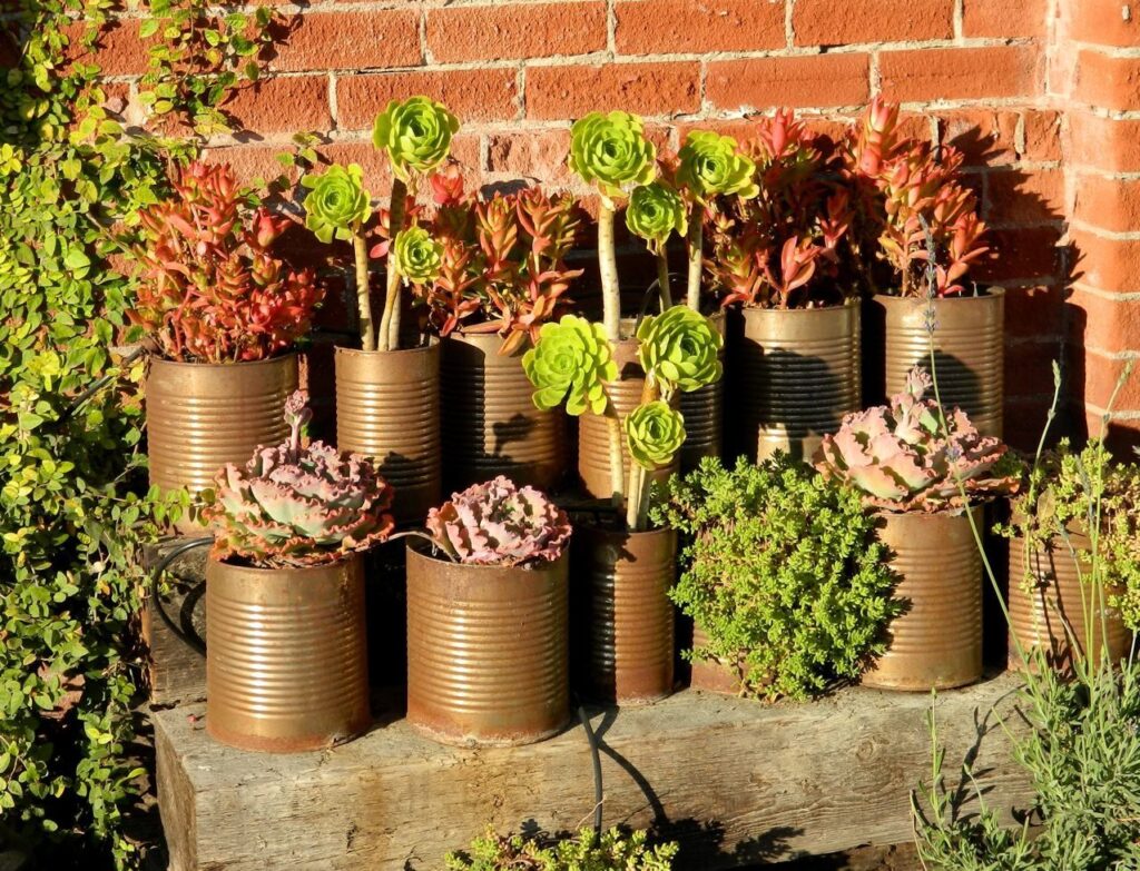 Bae7fdb6afbbf9e563b267fafc2ddab4