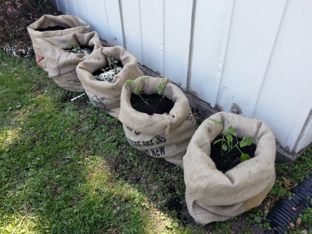 C2c285761d6e83840b6b15318faa41d7