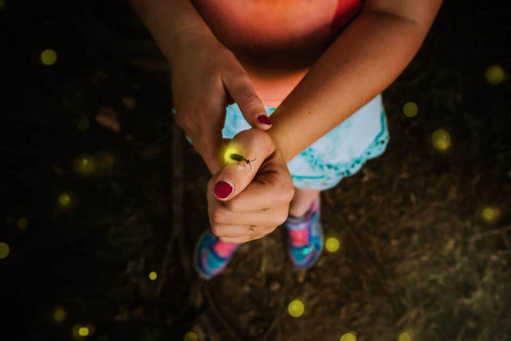 Catching Fireflies At Dusk